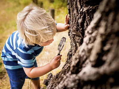 Boy with a magnifying glass studying a tree’s trunk