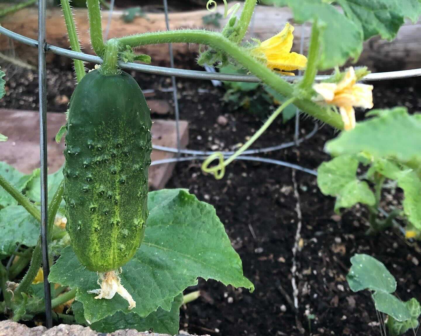Image from iOS (2)
