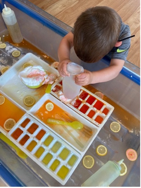 A preschool boy explores the physical properties of baking soda, vinegar, and lemons. He counts the spaces in each row; demonstrating his knowledge of one-to-one correspondence and cardinality.