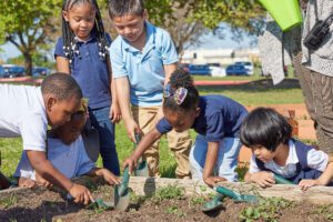 Explore The Creative Curriculum for Transitional Kindergarten: California